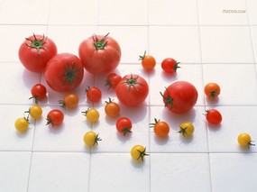 摄影主题壁纸 东瀛美食 美食大餐 食物料理主题Food Stock Photographs 摄影主题壁纸东瀛美食 摄影壁纸