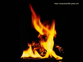 摄影主题壁纸 火之素材 火的图片素材 Stock Photographs of Fire Photos 摄影主题壁纸火之素材 摄影壁纸