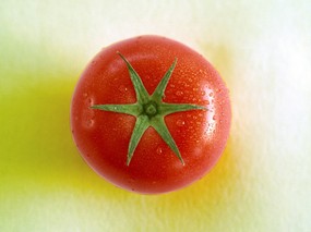 硕果累累 番茄篇 番茄图片 番茄壁纸Stock Photographs of Tomato 硕果累累番茄篇 摄影壁纸