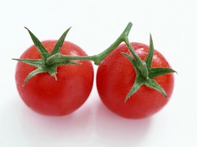 硕果累累 番茄篇 番茄图片 番茄壁纸Stock Photographs of Tomatos 硕果累累番茄篇 摄影壁纸