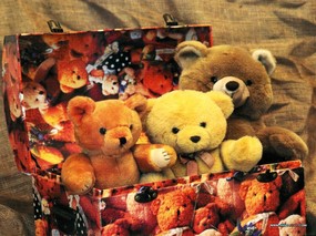 泰迪熊 Teddy Bear 壁纸系列 三 2004年年历 泰迪熊挂历图片扫描 Teddy bears Calendar Photo Scanning 泰迪熊Teddy Bear 壁纸(三) 摄影壁纸