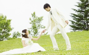  草地上的新娘新郎 公园里的白色婚礼图片图片壁纸 我们结婚吧! 摄影壁纸