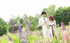  幸福小夫妻 花园里的白色婚礼 婚纱摄影壁纸图片壁纸 我们结婚吧! 摄影壁纸
