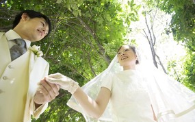  执子之手 与子偕老 公园里的白色婚礼图片图片壁纸 我们结婚吧! 摄影壁纸