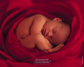 著名婴儿摄影家Anne Geddes作品(四) 摄影壁纸