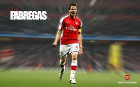英超 2009 10赛季 Arsenal 阿森纳壁纸 Cesc Fabregas 2009-10赛季 Arsenal 阿森纳壁纸 体育壁纸