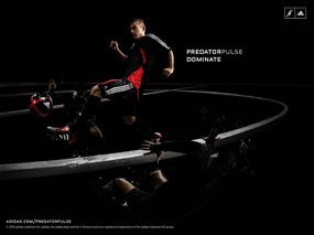 adidas足球专辑 adidas足球壁纸 体育壁纸