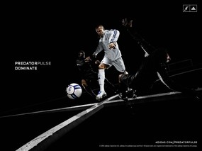 adidas足球专辑 adidas足球壁纸 体育壁纸