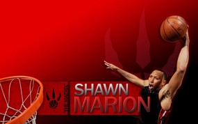 NBA  Shawn Marion图片壁纸 多伦多猛龙队2008-09赛季官方桌面壁纸 体育壁纸
