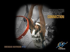NBA  Brendan Haywood 壁纸下载 华盛顿奇才队2008-09赛季官方桌面壁纸 体育壁纸