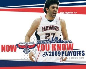  Zaza Pachulia桌面壁纸 NBA老鹰队 Hawks 2009季后赛壁纸 体育壁纸