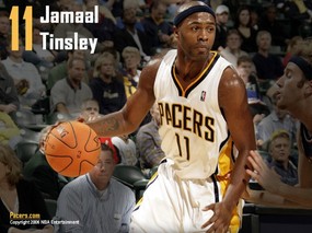NBA壁纸  步行者队NO 11 贾马尔 廷斯利壁纸 Jamaal Tinsley Desktop 印第安纳步行者队官方桌面壁纸 体育壁纸