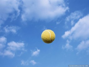 球类特写壁纸 球类 网球图片 Tennis Ball Wallpaper 运动球类特写壁纸 体育壁纸