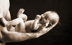 人体艺术图片 婴儿 壁纸18 人体艺术图片（婴儿） 系统壁纸