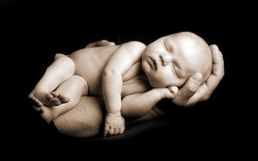 人体艺术图片 婴儿 壁纸20 人体艺术图片（婴儿） 系统壁纸