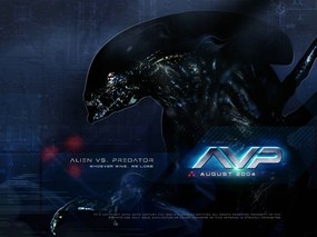  异形大战铁血战士 Alien vs Predator 电影壁纸 《Alien vs Predator 异形大战铁血战士》官方电影壁纸 影视壁纸