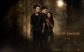  暮光之城2 新月 The Twilight Saga New Moon 桌面壁纸 北美新上映电影壁纸合集[2009年11月版] 影视壁纸