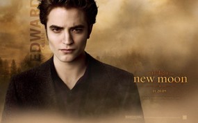  The Twilight Saga New Moon 暮光之城2 新月桌面壁纸 北美新上映电影壁纸合集[2009年11月版] 影视壁纸