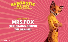  了不起的狐狸爸爸 The Fantastic Mr Fox 桌面壁纸 北美新上映电影壁纸合集[2009年11月版] 影视壁纸