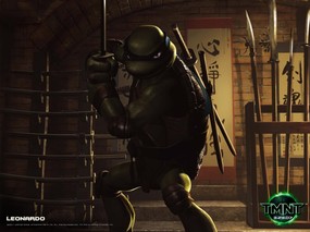 电影 忍者神龟TMNT 精美壁纸 电影《忍者神龟TMNT》精美壁纸 影视壁纸