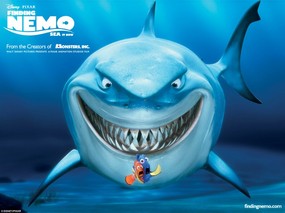 Finding Nemo 海底总动员官方电影壁纸 影视壁纸