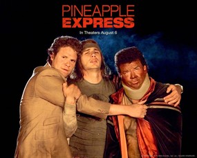  Pineapple Express 菠萝特快 好莱坞新上映电影壁纸合集[2008年8月版] 影视壁纸