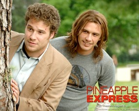 Pineapple Express 菠萝特快 好莱坞新上映电影壁纸合集[2008年8月版] 影视壁纸
