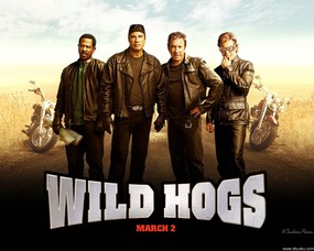 荒野大飚客 Wild Hogs 壁纸1 荒野大飚客 Wild Hogs 影视壁纸
