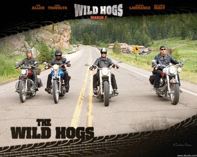 荒野大飚客 Wild Hogs 壁纸4 荒野大飚客 Wild Hogs 影视壁纸