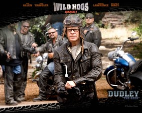 荒野大飚客 惊骑之旅 Wild Hogs 壁纸下载 荒野大飚客 电影壁纸 Movie Wallpapers Wild Hogs 《荒野大飚客 Wild Hogs》壁纸下载 影视壁纸