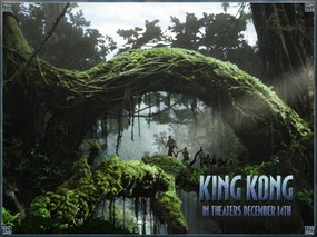 电影  <King Kong 金刚>电影壁纸 Movie wallpaper King Kong 金刚 KING KONG 官方壁纸 影视壁纸