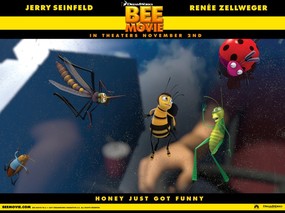 电影壁纸 蜜蜂总动员 一只小蜜蜂 Bee Movie 2007 蜂电影 蜜蜂总动员壁纸 Movie Wallpaper Bee Movie 2007 《蜜蜂总动员 Bee Movie》 影视壁纸