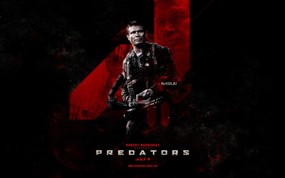 新铁血战士 Predators 电影壁纸 Predators 铁血战士S 图片壁纸 《新铁血战士 Predators 》电影壁纸 影视壁纸