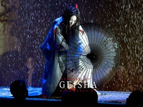 艺伎回忆录 2005 小百合 Memoirs Of A Geisha 艺伎回忆录壁纸 Memoirs Of A Geisha 艺伎回忆录 Memoirs Of A Geisha 影视壁纸