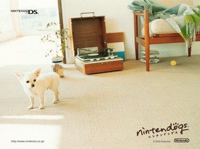 游戏 任天狗 壁纸 任天狗 游戏壁纸 Nintendo game Nintendogs Wallpaper 《Nintendogs任天狗》游戏壁纸 游戏壁纸