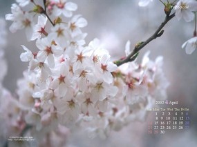  4月份月历桌面壁纸 April Desktop Calendar 2002年4月月历壁纸 月历壁纸