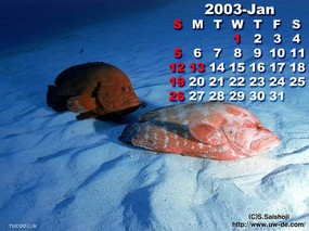  1月份月历桌面壁纸 January Desktop Calendar 2003年1月月历壁纸 月历壁纸