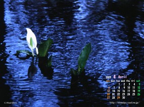  4月份月历桌面壁纸 April Desktop Calendar 2003年4月月历壁纸 月历壁纸