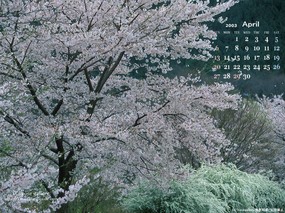  4月份月历桌面壁纸 April Desktop Calendar 2003年4月月历壁纸 月历壁纸
