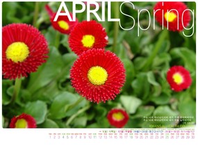 2004年4月份月历壁纸  April 2004 Calendar 2004年4月月历壁纸 月历壁纸