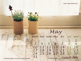 2004年5月份月历壁纸  May 2004 Calendar 2004年5月月历壁纸 月历壁纸