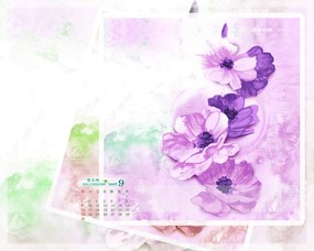  9月份月历 艺术花卉插画月历 2009年9月月历壁纸 月历壁纸