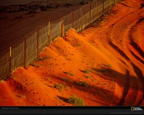 国家地理色彩专题 Life in Color Orange 生活中的橙色 澳大利亚的游牧长栏 这是世界上最长的围栏 用于保护羊群免受野狗的伤害 Dingo Fence 国家地理色彩专题Life in ColorOrange 生活中的橙色 月历壁纸