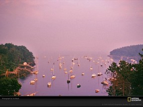 国家地理色彩专题 Life in Color Purple 生活中的紫色 缅因州停满小船的Rockport海港 这座独特的海岸小镇非常受船员和夏季旅行者的欢迎 Rockport Harbor Maine 国家地理色彩专题Life in ColorPurple 生活中的紫色 月历壁纸