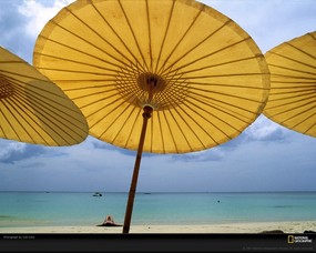 国家地理色彩专题 Life in Color Yellow 生活中的黄色 泰国普吉岛 它的魅力来自于温和的气候 洁净的海水和泰国人的热情好客 Phuket Island Beach 国家地理色彩专题Life in ColorYellow 生活中的黄色 月历壁纸