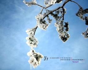  1月月历 冬季风景桌面壁纸 YAHOO韩国一月月历壁纸 月历壁纸