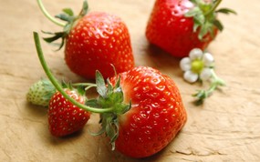 高清草莓桌面壁纸下载 高清草莓桌面壁纸下载 植物壁纸
