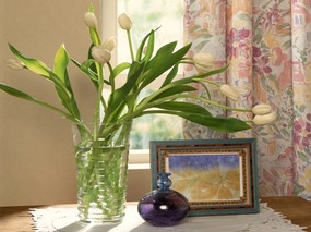 高清鲜花桌面壁纸下载 高清鲜花桌面壁纸下载 植物壁纸