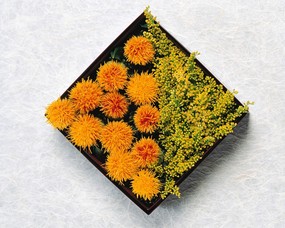 漂亮的插花艺术精美壁纸 植物壁纸